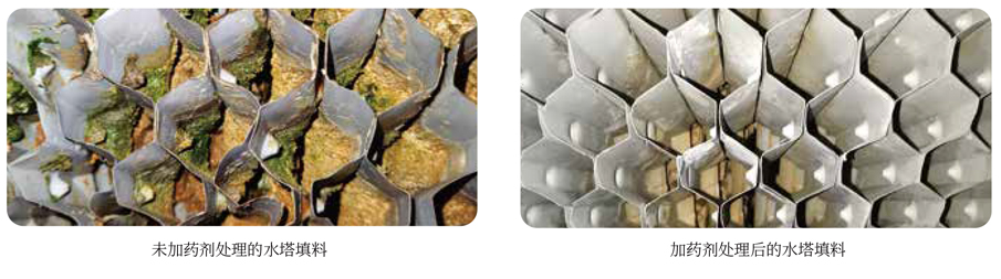 1639799815218047.jpg 巴沃夫产品系列画册2022_01.jpg