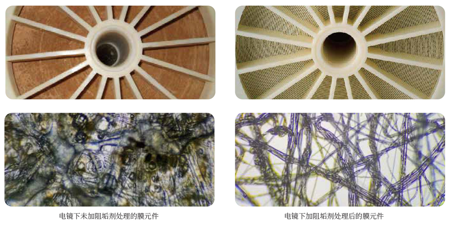 1639807785147869.jpg 巴沃夫产品系列画册2022_01.jpg