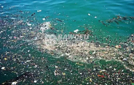 海水冷却系统中的贝类,怎样高效100%控制和管理_巴沃夫.png 海水冷却系统中的贝类,怎样高效100%控制和管理_巴沃夫.png